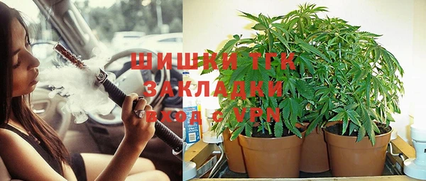 ECSTASY Аркадак
